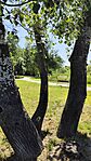 IMG_20250531_102656