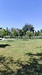 IMG_20250531_102646