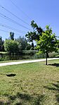 IMG_20250531_102643