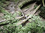 IMG_20250609_125431