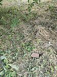 IMG_20250606_175643