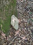 IMG_20250629_110842297