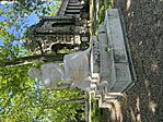 IMG_6982
