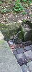 IMG_20250531_120502