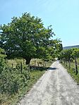 IMG_20250602_103156