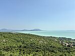 IMG_5921