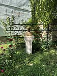 IMG_5926
