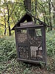 IMG_3959