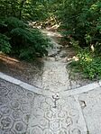 IMG_20250626_164429