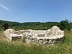IMG_3514