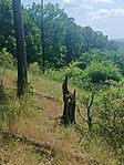 IMG_20250604_124832.jpg
