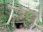 IMG_20250604_093833.jpg