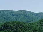 IMG_20250605_113330.jpg