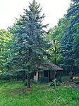 IMG_20250605_083758.jpg