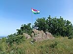 IMG_20250605_093029.jpg