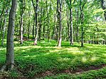 IMG_20250605_102444.jpg