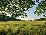 IMG_20250612_185421.jpg
