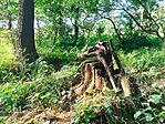 IMG_20250612_182632.jpg