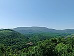IMG_20250615_114026.jpg