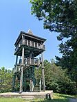 IMG_20250619_111631.jpg