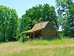 IMG_20250620_124508.jpg