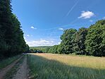 IMG_20250628_103505.jpg