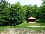forrás a házikóval