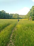P_20250607_061511_vHDR_On