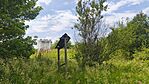 IMG_20250609_124109