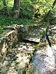 IMG_20250502_165433