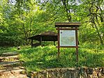 IMG_20250502_165457