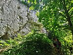 IMG_20250607_115842