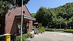 IMG_4236