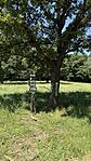 IMG_4235