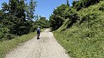 IMG_4238