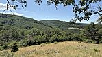 IMG_4239