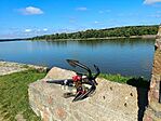 IMG_20250531_085540