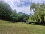 IMG_20250629_102852