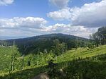 IMG_20250629_145833