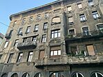 IMG_1354
