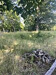 IMG_7398