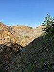 IMG_7393