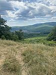 IMG_7489