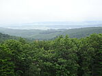DSC03329