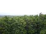 DSC03330