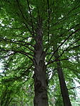 DSC03380