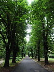 DSC03387