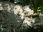 DSC03565