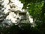 DSC03566