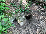 DSC03570